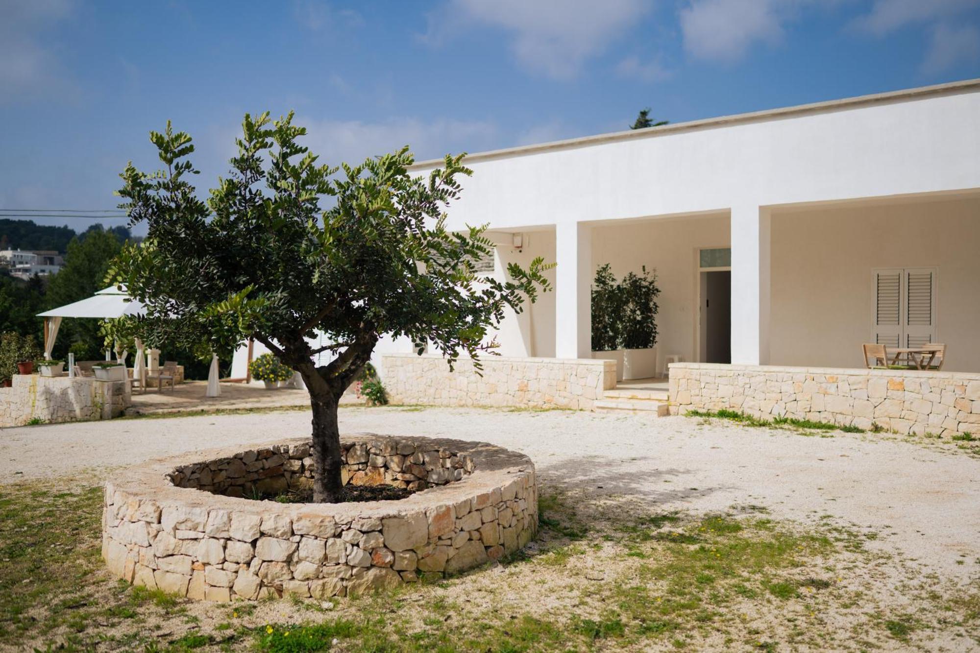 Trulli Magda Holiday home Martina Franca