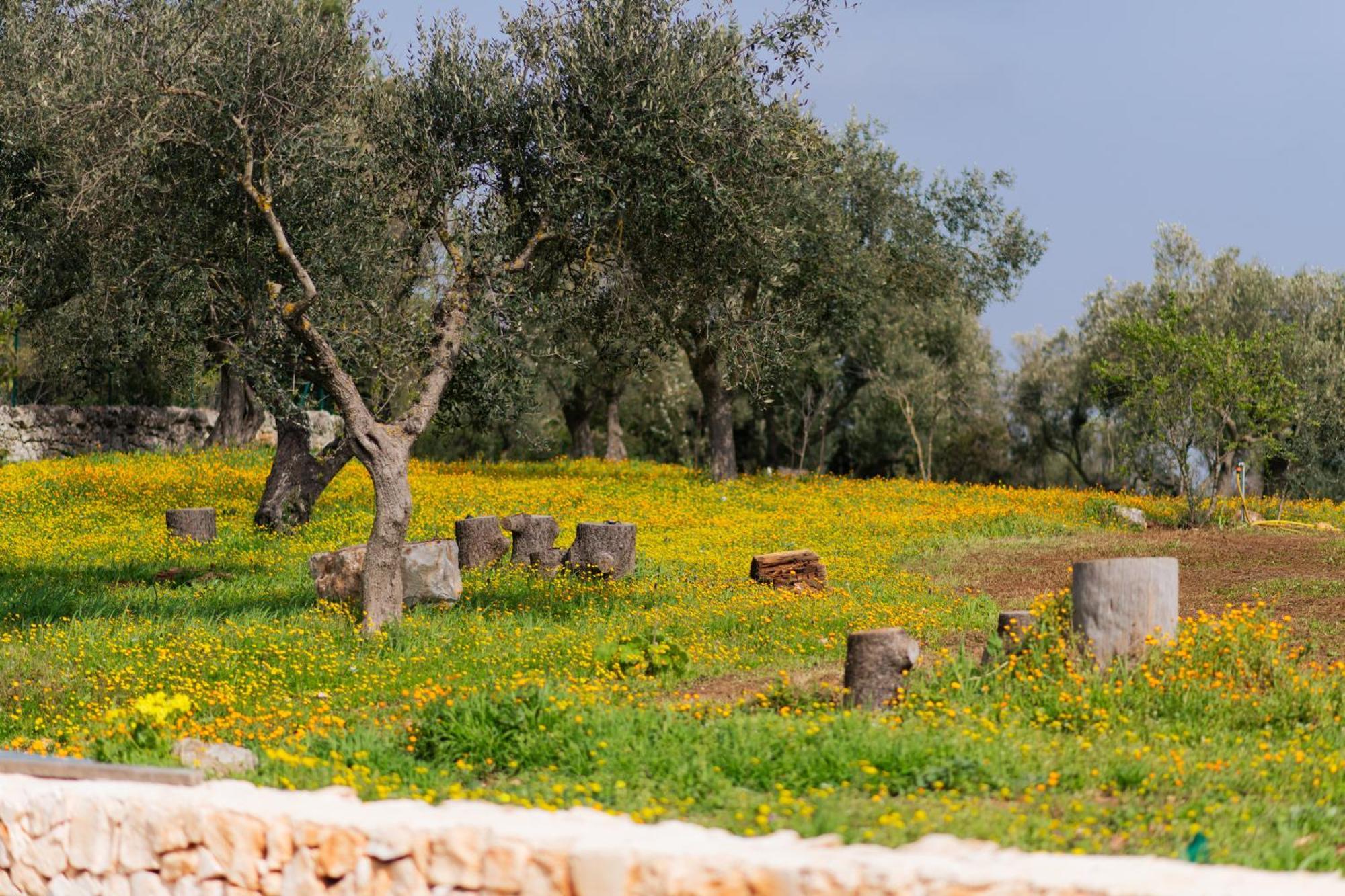 Holiday home Trulli Magda Martina Franca