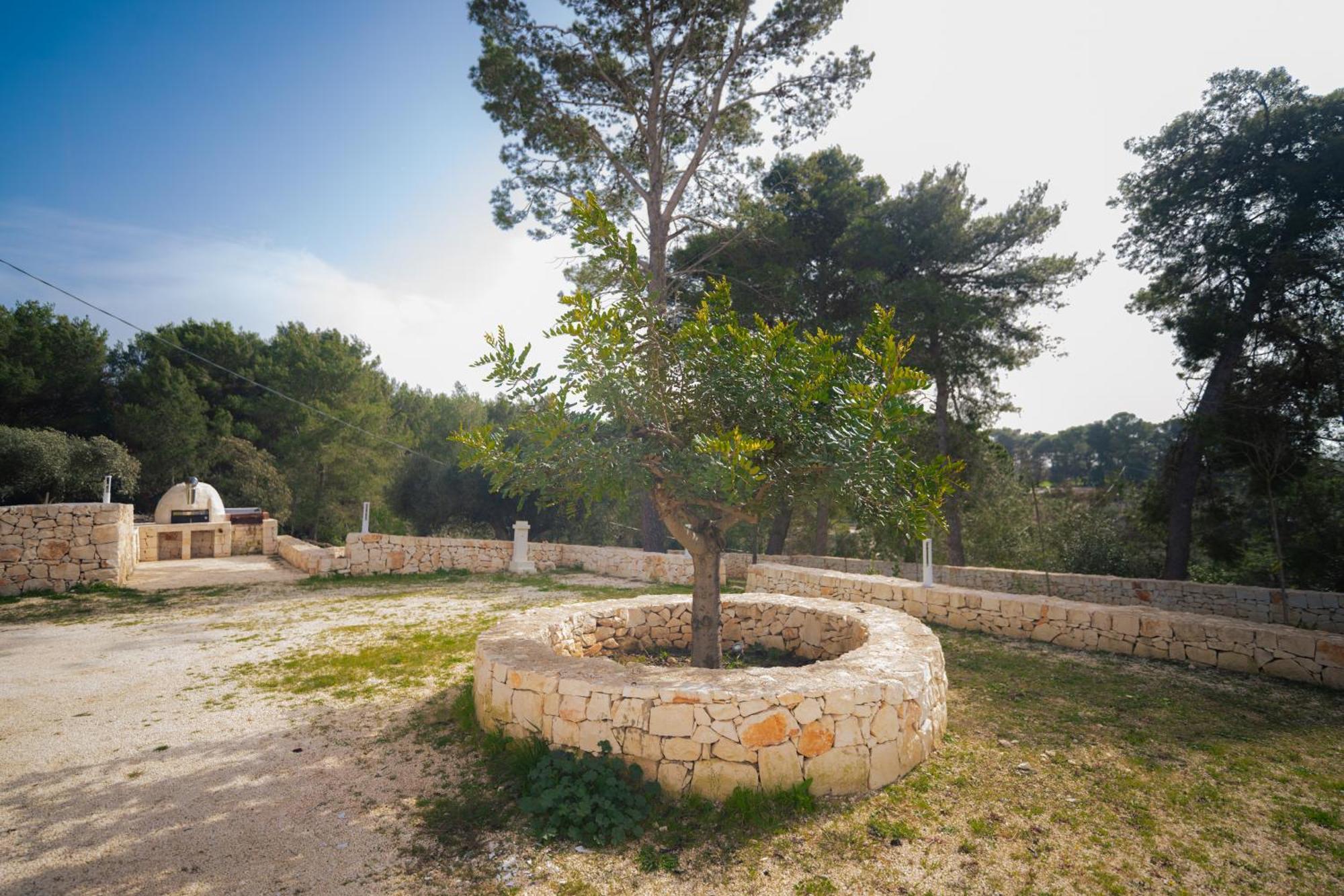 Trulli Magda Martina Franca