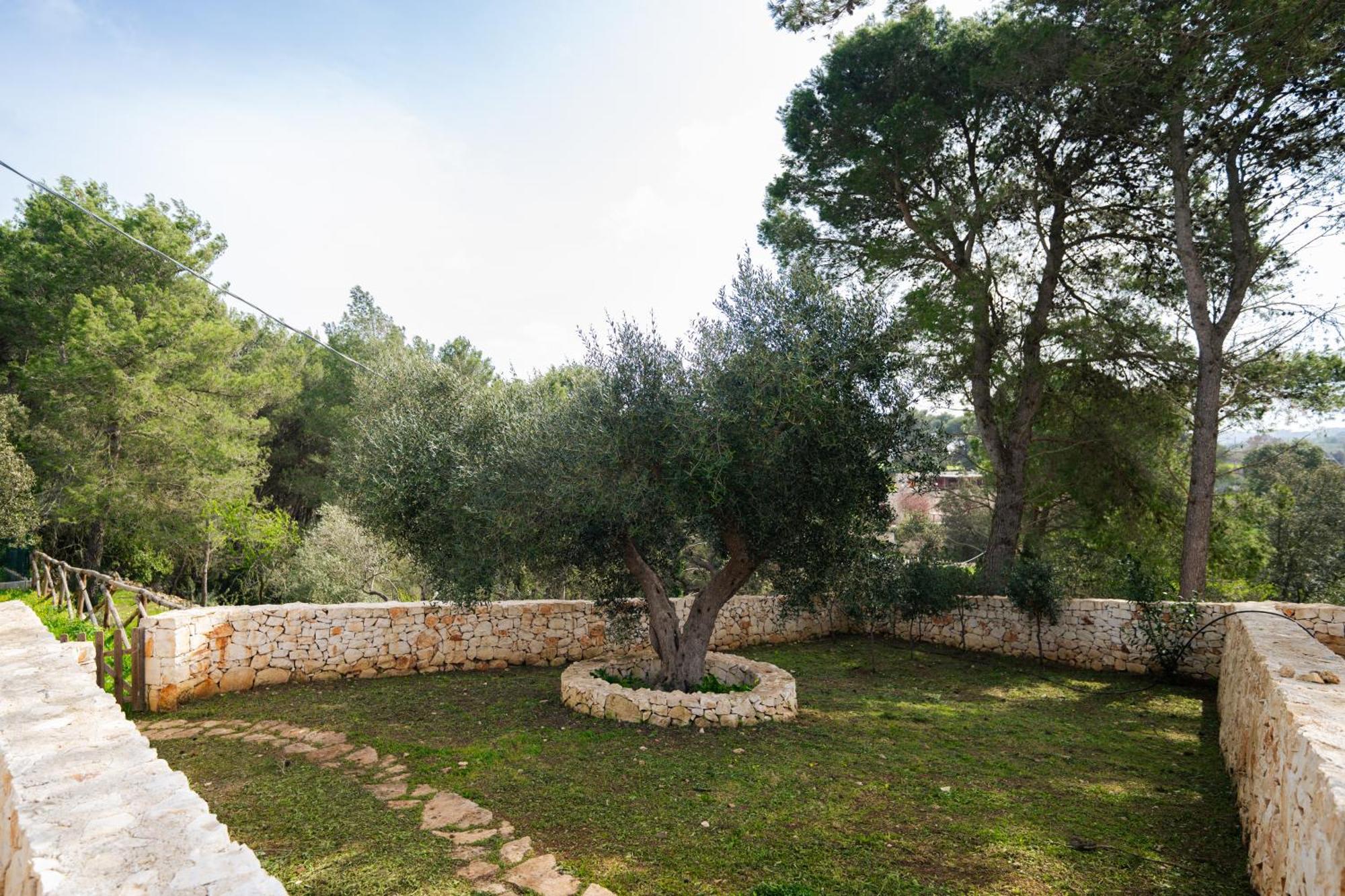 Holiday home Trulli Magda *